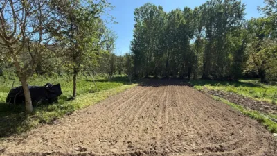Rustic finca on Calle Lg Porto photo 12