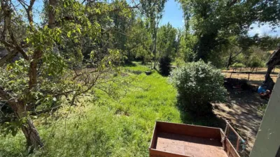 Rustic finca on Calle Lg Porto photo 23