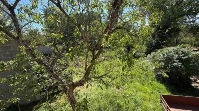 Rustic finca on Calle Lg Porto photo 29