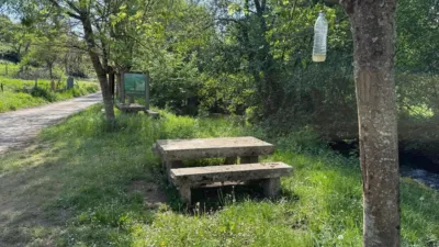 Rustic finca on Calle Lg Porto photo 50