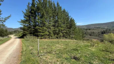 Rustic finca on Calle Lg Porto photo 56