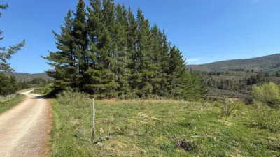 Rustic finca on Calle Lg Porto photo 57