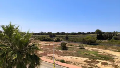Chalet in El Pinet photo 19
