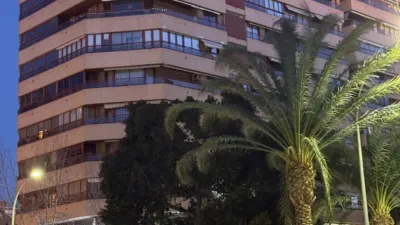 Pis – Alicante - Alacant - Vista 2