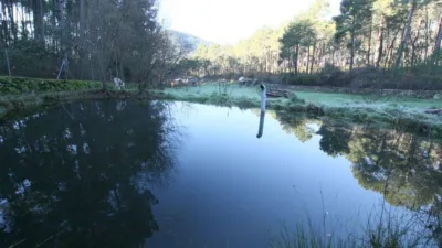 Chalet en venta en Calle Cam. Forestal El Amoclón, Número 0, Santa Cruz del Valle de 250.000 €