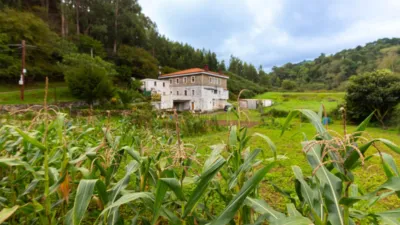 House in Barrio de Rubias photo 65