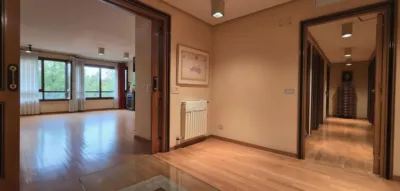 Apartment on Paseo del Salon photo 8