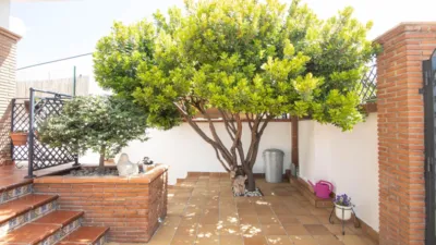 House on Fuente Encaña Street photo 5