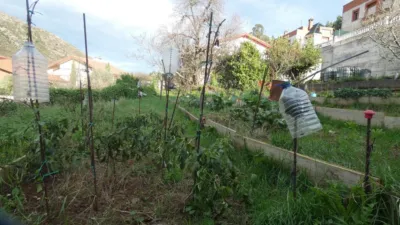 Rustic Finca in Baltezana photo 12