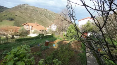 Rustic Finca in Baltezana photo 13
