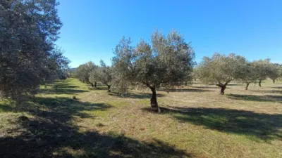 Rustic Finca in Andalucia photo 16