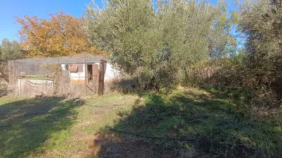 Rustic Finca in Andalucia photo 17