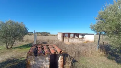Rustic Finca in Andalucia photo 25