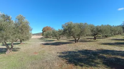 Rustic Finca in Andalucia photo 26