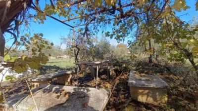 Rustic Finca in Andalucia photo 28