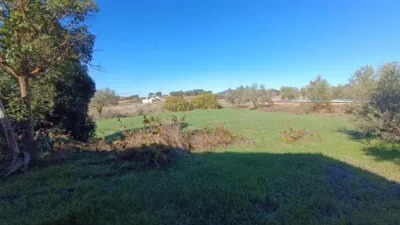 Rustic Finca in Andalucia photo 30