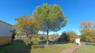 Rustic Finca in Andalucia photo 31