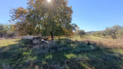 Rustic Finca in Andalucia photo 32