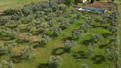 Rustic Finca in Andalucia photo 36
