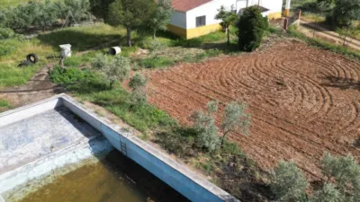 Rustic Finca in Andalucia photo 37