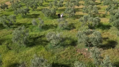 Rustic Finca in Andalucia photo 38