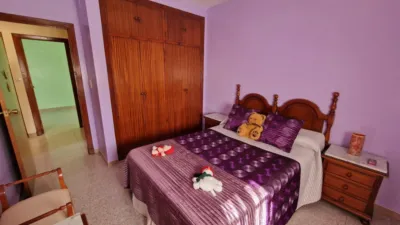 Apartment in Alcala de los Gazules photo 13