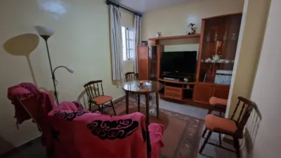 Apartment in Alcala de los Gazules photo 14