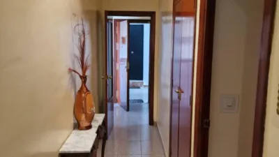 Apartment in Alcala de los Gazules photo 19