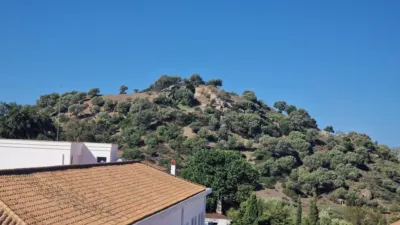 Apartment in Alcala de los Gazules photo 7