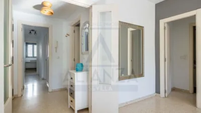 Flat on Calle Santa Ana, No. 6 photo 8