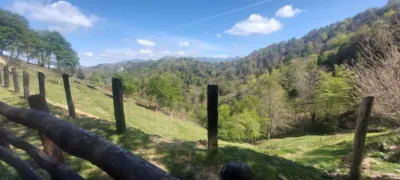 Rustic farm in Infiesto photo 25