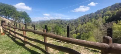 Rustic farm in Infiesto photo 26