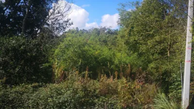 Terreno en venta en Calle Lugar Mariñan, Número 69 - Vista 2