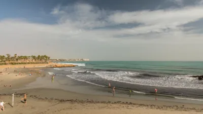 Chalet en Playa Flamenca photo 56