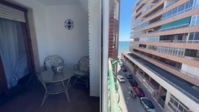 Pis – Torrevieja, San Roque - Vista 3