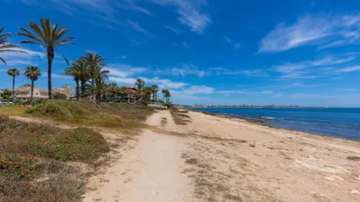 Chalet in La Veleta photo 81