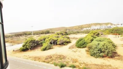 Apartment in Guardamar Playa photo 27