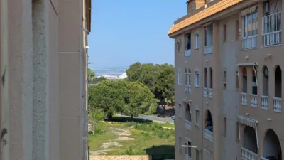 Pis - Vista 5