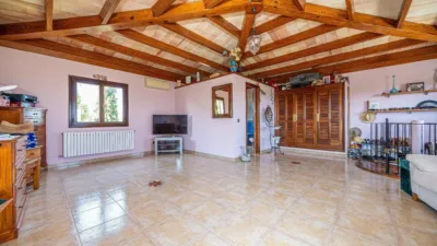 Chalet en Can Picafort photo 35