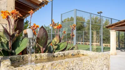 Chalet en Can Picafort photo 43