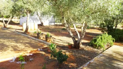 Rustic Finca in El Rosal photo 10
