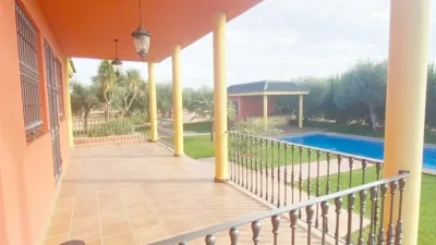 Rustic Finca in El Rosal photo 14