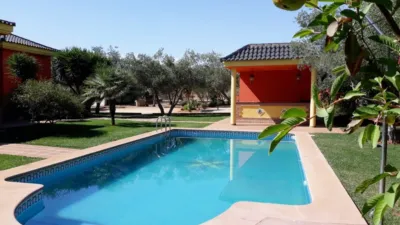 Rustic Finca in El Rosal photo 15