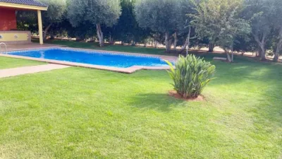 Rustic Finca in El Rosal photo 16
