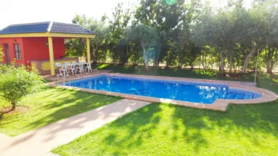 Rustic Finca in El Rosal photo 17