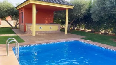 Rustic Finca in El Rosal photo 19