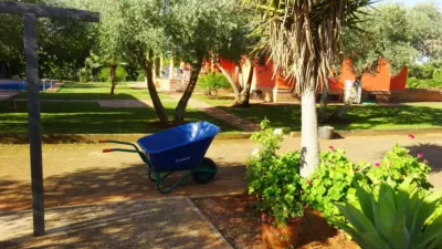 Rustic Finca in El Rosal photo 20
