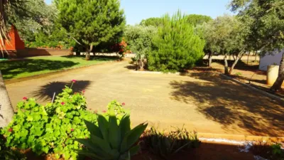 Rustic Finca in El Rosal photo 21