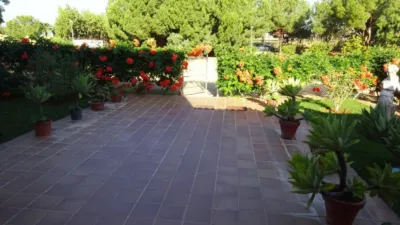 Rustic Finca in El Rosal photo 3