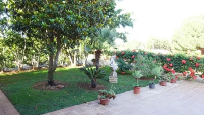 Rustic Finca in El Rosal photo 4